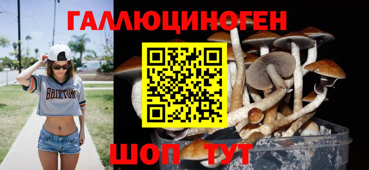 Псилоцибиновые грибы MAGIC MUSHROOMS  Псилоцибиновые грибы MAGIC MUSHROOMS  Минусинск  Вход с VPN 